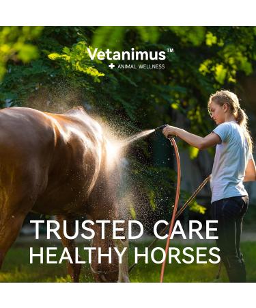 Vetanimus Apple Flavor Electrolytes Replenish Sweat Loss Promote Balance of Minerals & Boost Hydration in Horses-Tub 840g - Buy Online on GoSupps.com