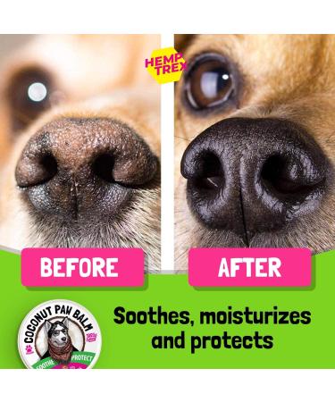 Hemptrex Dog Paw Balm Soother & Moisturizer - 2 oz - Shea Butter, Coconut Oil, Beeswax - Heal & Repair Cracked Paws, Snout & Elbows - Snow & Dry Weather Protection - Buy Online on GoSupps.com