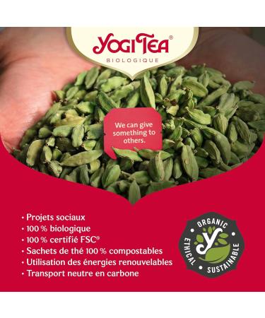 YOGI TEA Cha Curcuma Infusion Bio Excellent pour le lait dor Naturellement Sans Caf ine M lange de Curcuma Cannelle et Gingembre 102 (6x17) Sachets de Th  - Buy Online on GoSupps.com