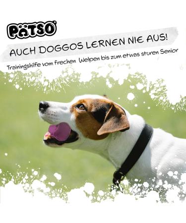 Buy P tso Dog Food Bag - Premium Dummy Retrieving Toy for Dog Training - Purple Food Dummy for Treats - Buy Online on GoSupps.com