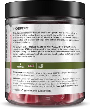 Jacked Factory Ashwagandha Gummies - KSM 66 Ashwagandha Gummies (600mg Per Serving) - Enhance Cognitive Function Boost Mood and Promote Hormonal Balance - 120 Gummies Cherry Splash KSM-66 Gummies - Buy Online on GoSupps.com