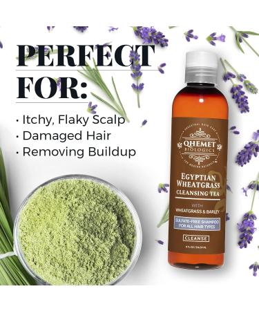 Qhemet Biologics Egyptian Wheatgrass Cleansing Tea - Sulfate-Free Shampoo for All Hair Types | Hydrating Buildup Removal Soothing Itchy Scalp & Repairing Damaged Hair (8 oz - Buy Online on GoSupps.com