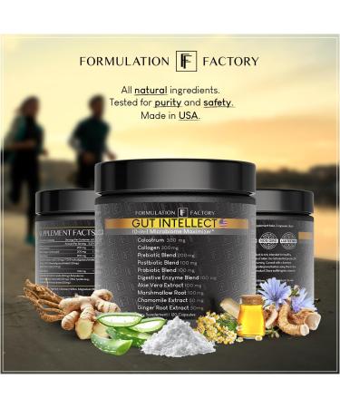 Formulation Factory Probiotics for Women & Men - Gut Intellect 10-in-1 Digestive Enzymes with Prebiotics and Postbiotics - Total Gut Health Supplement - 120 Capsules 2 Month Supply 120 Count (Pack of 1) - Buy Online on GoSupps.com