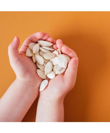 Yupik Semi-Salted Pumpkin Seeds in Shell 185 g Kosher Gluten-Free Seeds With Sea Salt Healthy Snacks Rich in Fiber - Buy Online on GoSupps.com