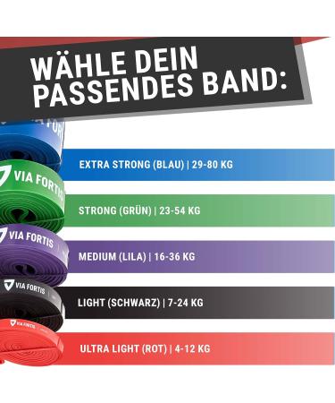 Via Fortis Premium Resistance Bands - Ultra-Light Level 1 Fitness Band with Exercise Guide & Bags for Strength Training - Buy Online on GoSupps.com