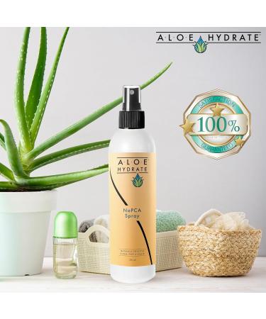 NaPCA Facial Moisturizer Spray - Cooling & Hydrating Face Mist with Pure Sodium PCA Rose Water & Aloe for Refreshing Toning - Buy Online on GoSupps.com