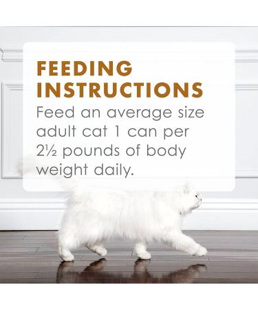 Purina Fancy Feast Gravy Lovers Beef Feast Wet Cat Food - 24 Cans, 3 oz. Each - Buy Online on GoSupps.com