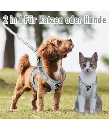 UVTQSSP Dog Harness for Small Dogs | Padded Puppy Harness with Leash | Comfortable & Durable | Gray - Buy Online on GoSupps.com