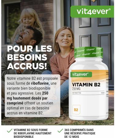 Vitamin B2 (Riboflavin) - 250 mg - 365 tablets - High dose - No unwanted additives - Vegan - Buy Online on GoSupps.com
