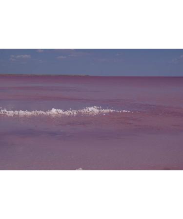 Sivash Natural Bath Salt - 5kg Pink Sole Sea Salt for Sensitive Skin | Neurodermatitis Psoriasis Rheumatism Relief - Enjoy Soothing Bath Experiences - Buy Online on GoSupps.com