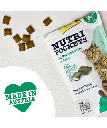 Gimcat Nutri Pockets Catmint - Crispy Cat Snack with Creamy Filling & Functional Ingredients - 60g Bag for Cats - Buy Online on GoSupps.com