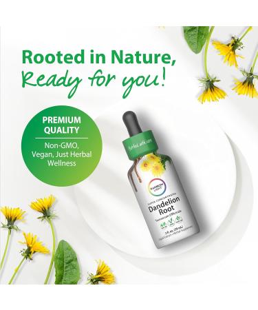 Rainbow Light Dandelion Root Extract Supplement | 2 Fl Oz | Super Concentrated | Alcohol Free | Non-GMO and Gluten Free - Buy Online on GoSupps.com