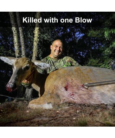 Aimdor Hunting Broadheads 100/125 Grain Stainless Steel 12pcs for Crossbow & Compound Bow - Buy Online on GoSupps.com