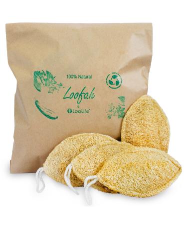 Natural Loofah Sponge (4 Pack) - Loofah Exfoliating Body Scrubber - Biodegradable Loofah - Organic Natural Loofah - Luffa Sponges - Loofah Pad