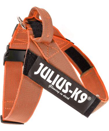 Shop Julius-K9 2XL/3 Orange-Grey Belt Harness | Durable & Stylish Dog Gear - International Shipping Available - Buy Online on GoSupps.com