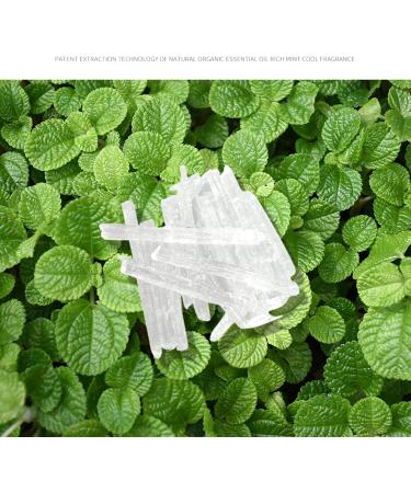 Premium Grade Menthol Crystals Pure Natural From Peppermint DIY Home Accessories Home Freshener 3.52oz Safe Natural Room Freshener Peppermint For Bathroom - Buy Online on GoSupps.com