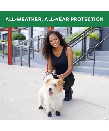 PAWZ Tiny Dog Boots - Black - Perfect Fit for Very Small Dogs | Durable & Stylish Protection - Buy Online on GoSupps.com