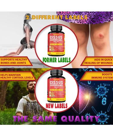 Organic Super Cissus Quadrangularis Capsules 8050mg with Boswellia Guggul Turmeric Black Pepper Extract | Bone Joint Health Supplement | Tendon Ligament Support | 5-Month Supply - Buy Online on GoSupps.com