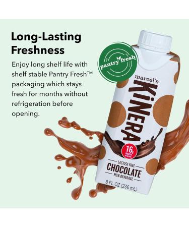 Marcel s Modern Pantry Kinera Lactose-Free High Protein Chocolate Beverage | Post Workout Recovery Drink for Athletes | 12 Pack - Advanced Sports Hydration - Buy Online on GoSupps.com