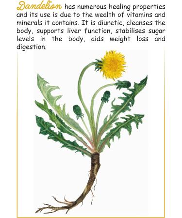  Dary Natury ORGANIC NUNLES ROOT TEA (25 x 3 g) - DARY NATURY - Buy Online on GoSupps.com