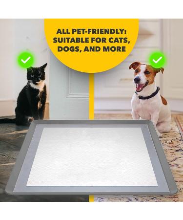 Skywin Dog Puppy Pad Holder Tray - No Spill Pee Pad Holder for Dogs - Easy to Clean and Store - Dark Grey - Buy Online on GoSupps.com