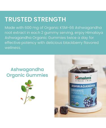 Himalaya Ashwagandha Organic Gummies | KSM-66 for Stress Relief, Energy & Relaxation | Delicious BlackBerry Flavor | 60 Gummies - Buy Online on GoSupps.com