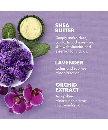 SheaMoisture Lavender Wild Orchid Body Lotion & Oil Pack - 16 Fl Oz (Pack of 2) - Buy Online on GoSupps.com