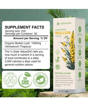Organic Mullein Drops for Lungs Natural Lungs Detox & Immune Support | Mullein Leaf Extract 2fl.oz - Buy Online on GoSupps.com