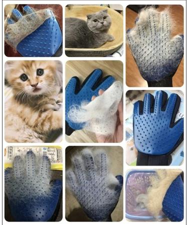 Pet Grooming Glove & Deshedding Brush for Cat & Dog - Gentle Hair Remover Mitt - 260 Silicone Tips - Right Hand Fit - Buy Online on GoSupps.com
