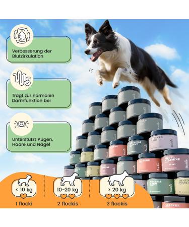 Flockis 90 Snacks for Itchy Dogs | Healthy Skin & Shiny Fur with Algae Green Lipped Shell Vitamin A Zinc & Zichoric Root No Salmon Oil - Buy Online on GoSupps.com