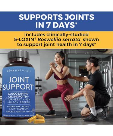 Joint Supplement with Glucosamine, Chondroitin, MSM, Turmeric, Boswellia & Hyaluronic Acid - 90 Capsules for Joint Support, Mobility & Comfort - Buy Online on GoSupps.com