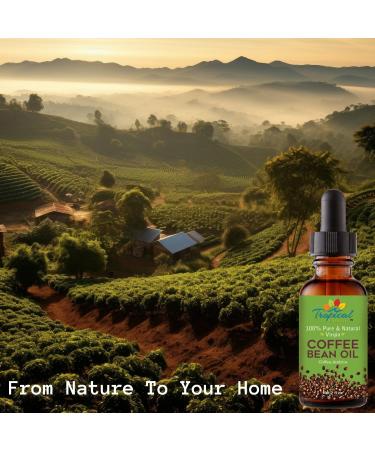 100% Pure Roasted Coffee Bean Oil - Virgin Cold Pressed Unrefined for Massage Soap Making Hair Skin & Nails | 2 fl oz - International Shipping - Buy Online on GoSupps.com