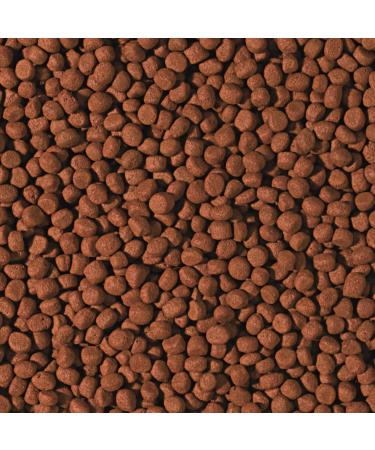 Tropical Cichlid Carnivore Medium Pellet 10L / 3.6kg - Color Enhancing Food for Large and Medium Sized Carnivorous Cichlids - Buy Online on GoSupps.com