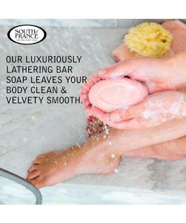 South of France Climbing Wild Rose Clean Bar Soap - 6 oz (Pack of 4) | Triple-Milled French Soap with Organic Shea Butter and Essential Oils | Vegan Non-GMO Body Soap - Buy Online on GoSupps.com