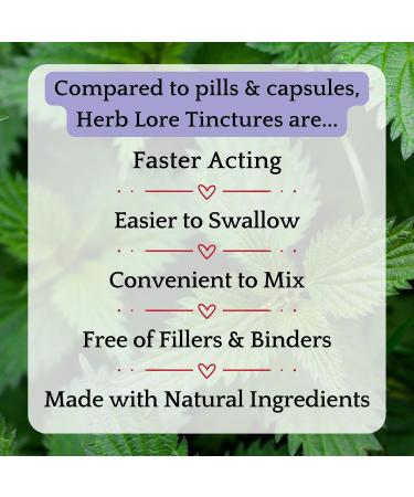 Herb Lore Organic Dandelion & Nettle Tincture - Liquid Dandelion Leaf & Stinging Nettle Leaf Extract Drops (4 fl oz) 4 Fl Oz (Pack of 1) - Buy Online on GoSupps.com