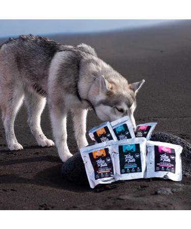 Tales & Tails - Wet Dog Food - 100% Icelandic Salmon - Grain Free Natural Nutrient Rich Sugar Free Dog Food - Flax Free Wet Dog Food with - Buy Online on GoSupps.com