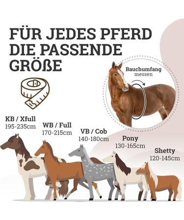 Esposita Riding Strap with 2 Leather Handles - Versatile Lunging & Vaulting Belt for Kids Pony - Pink & Black - Buy Online on GoSupps.com