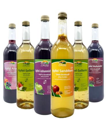 Bleichhof Blight Shif Saftmix apple juice aronias juice apple albear juice 2 x apple juice with celery juice apple sand juice apple grid juice 6 x 072 gallons