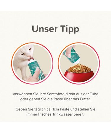 BEAPHAR Junior Paste for Cats (6 Weeks+) | With Calcium & Taurine | Supports Growth | 0% Added Sugar | 100g - Buy Online Now! - Buy Online on GoSupps.com