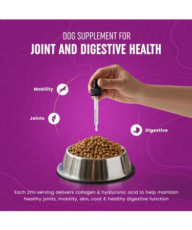Premium Liquid Collagen for Dogs (120ml) Daily Collagen Dogs Supplement Drops with Types I II & III & Hyaluronic Acid - Dog Supplement for Joints and Digestive Health - All Breeds & Sizes - USA Made - Buy Online on GoSupps.com
