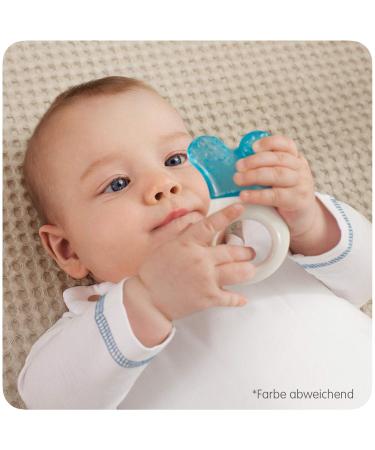 MAM Cooler and Clip - Cooling Bite Ring for Babies 2+ Months | Lightweight Teething Aid in Turquoise - Buy Online on GoSupps.com
