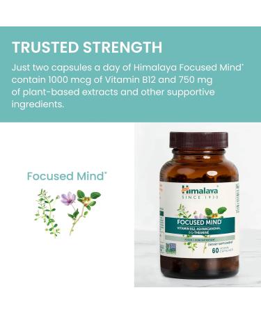 Himalaya Focused Mind Supplement with Ashwagandha Bacopa & L-Theanine for Attention Focus and Energy Support 60 Vegan Capsules Gluten Free 1 Month Supply - Buy Online on GoSupps.com