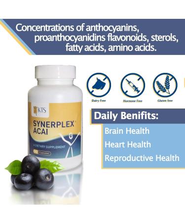 Synerplex A a Capsules - All-Natural Superfood for Brain Heart & Reproductive Health | Nutrient Dense & Antioxidant Rich - Buy Online on GoSupps.com