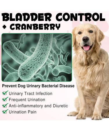 Bladder & Kidney Support for Dogs - Natural Urinary Tract Treatment Cranberry D-Mannose Soft Chews 30 Tasty Snacks - Buy Online on GoSupps.com