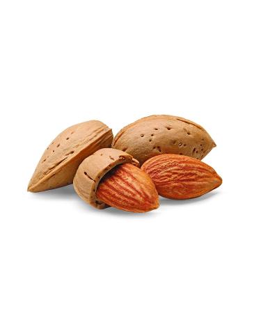 Watkins Pure Almond Extract 32 fl. oz. - Economy Sized | 1 Count (21903) - Buy Online on GoSupps.com