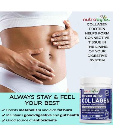Marine Collagen Powder 10000mg Type 1 & 3 | Unflavoured Hydrolysed Protein Peptides for Skin, Hair, Nails, Joints & Gut | 19 Amino Acids | Kosher & Halal Certified - Buy Online on GoSupps.com