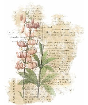 Flower Overlay Rice Paper - 8x10.5 inch, 6 Different Printed Images, 30gsm Mulberry Paper for Decoupage Crafts - Buy Online on GoSupps.com