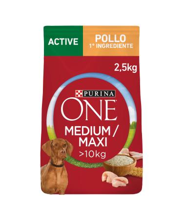 Purina ONE Medium/Maxi > 10 kg Dog Food, 4 Bags of 2.5 kg each