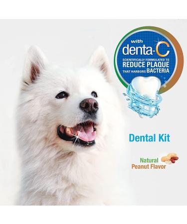 Nylabone Advanced Oral Care Dental Kits for Dogs & Cats - Adult Dog Peanut Butter - 3 Count - Buy Online on GoSupps.com