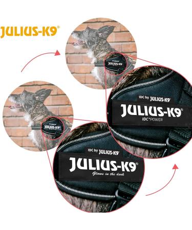 Julius-K9 Baby Boys IDC Powerharness Dog Harness Burgundy - 2XL/3 | Premium International Shipping - Buy Online on GoSupps.com